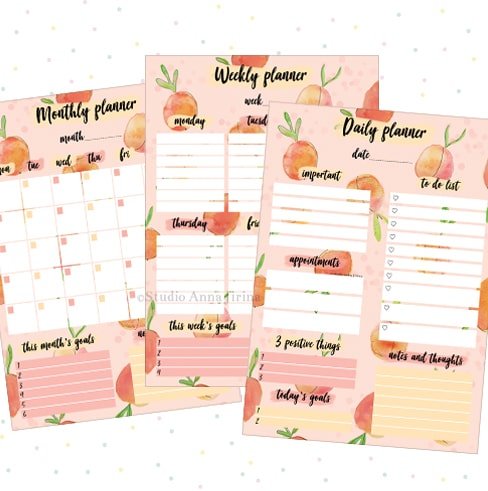 peachy planner kit