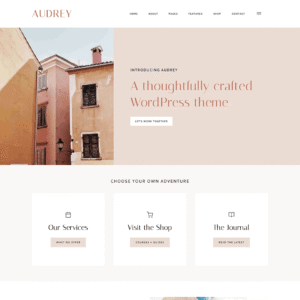 WordPress thema Audrey | zelf een webshop maken | wordpress webshop maken | webshop template
