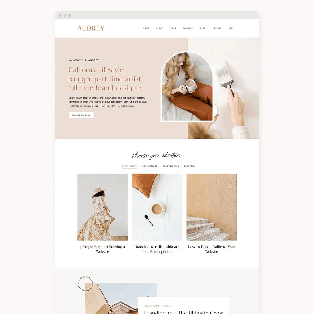 wordpress webshop ontwerp | professioneel template webshop
